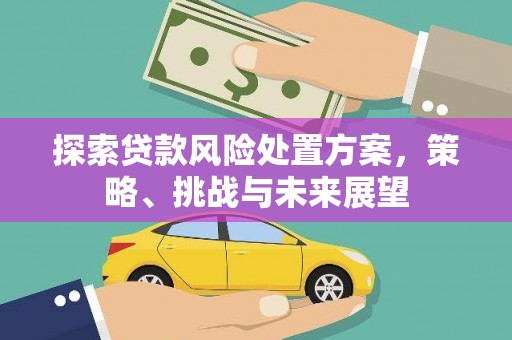 巴塘探索贷款风险处置方案，策略、挑战与未来展望