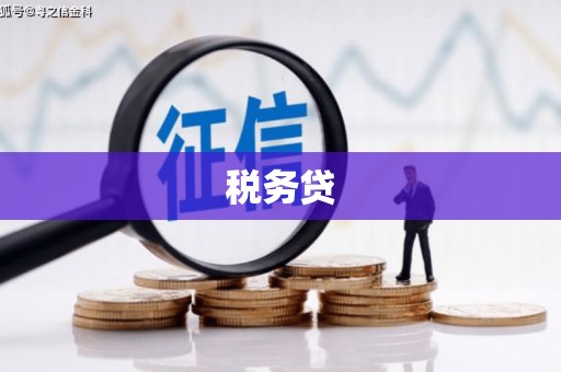 巴塘税务贷