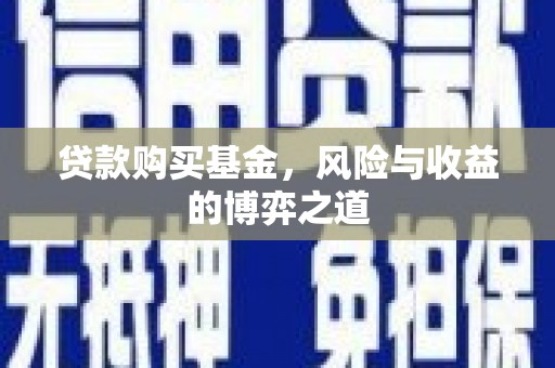 巴塘贷款购买基金，风险与收益的博弈之道