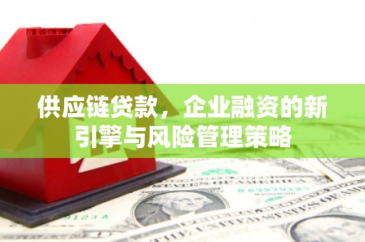 巴塘供应链贷款，企业融资的新引擎与风险管理策略