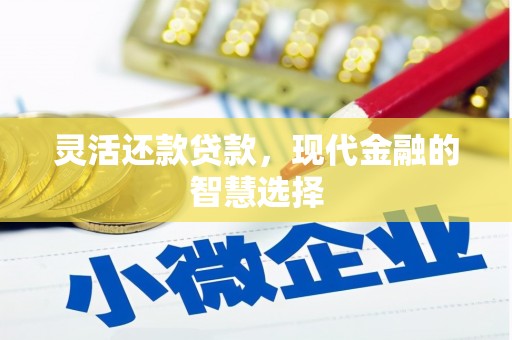 巴塘灵活还款贷款，现代金融的智慧选择