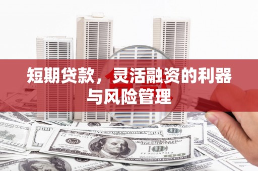 巴塘短期贷款，灵活融资的利器与风险管理