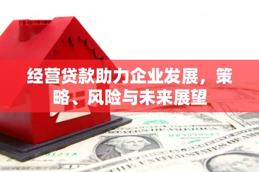 巴塘经营贷款助力企业发展，策略、风险与未来展望