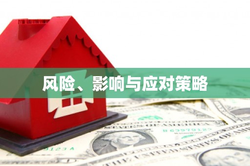 巴塘风险、影响与应对策略