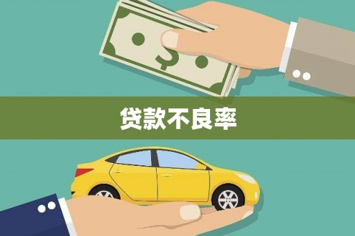 巴塘贷款不良率