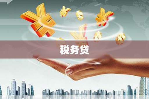 巴塘税务贷