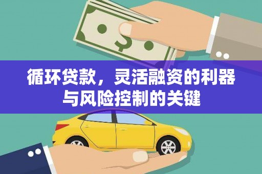 巴塘循环贷款，灵活融资的利器与风险控制的关键
