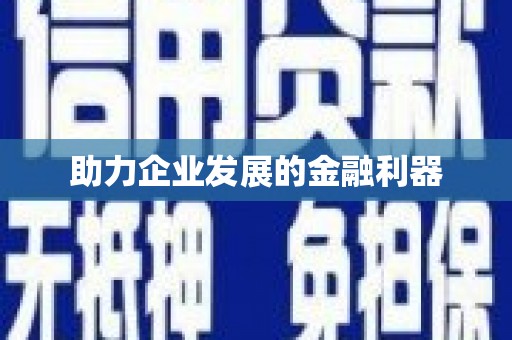 巴塘助力企业发展的金融利器