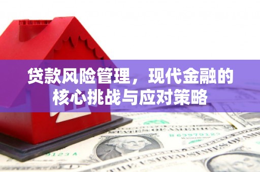 巴塘贷款风险管理，现代金融的核心挑战与应对策略