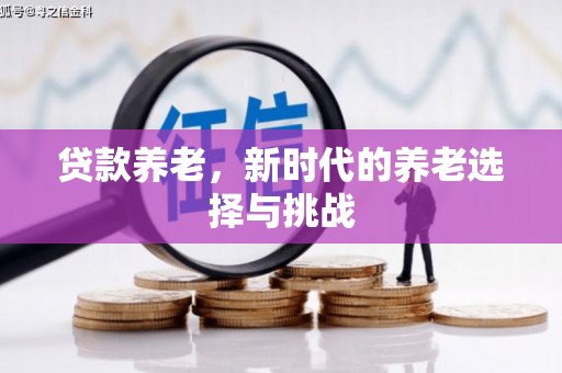 巴塘贷款养老，新时代的养老选择与挑战