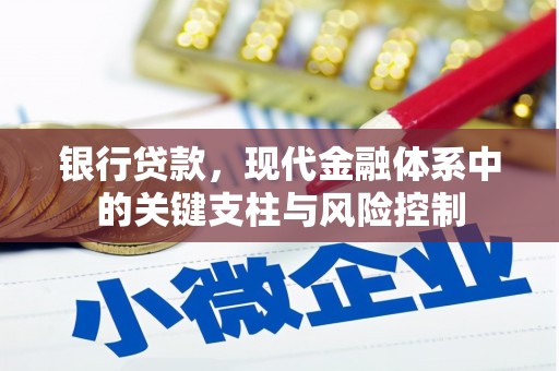 巴塘银行贷款，现代金融体系中的关键支柱与风险控制