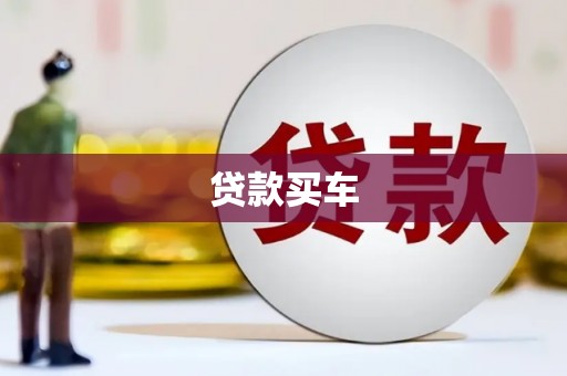 巴塘贷款买车