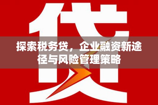 巴塘探索税务贷，企业融资新途径与风险管理策略