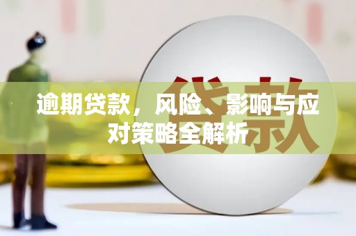 巴塘逾期贷款，风险、影响与应对策略全解析