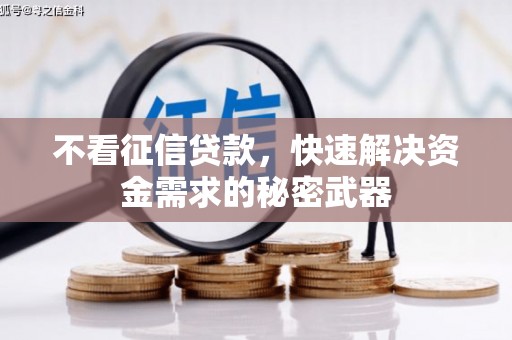 巴塘不看征信贷款，快速解决资金需求的秘密武器
