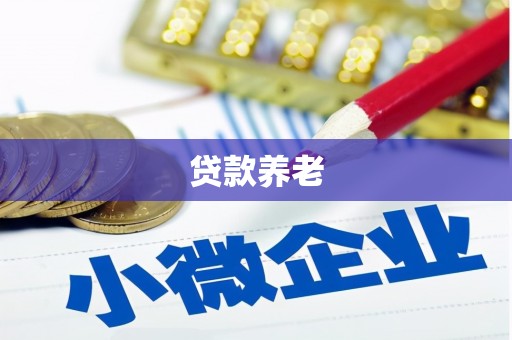 巴塘贷款养老
