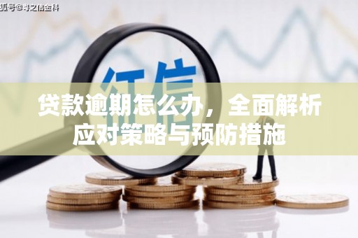 巴塘贷款逾期怎么办，全面解析应对策略与预防措施