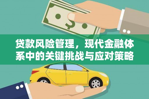 巴塘贷款风险管理，现代金融体系中的关键挑战与应对策略