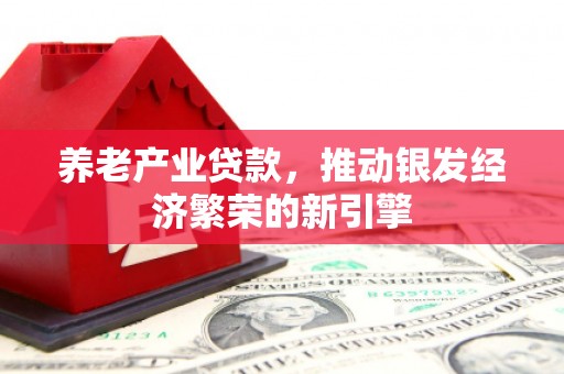 巴塘养老产业贷款，推动银发经济繁荣的新引擎