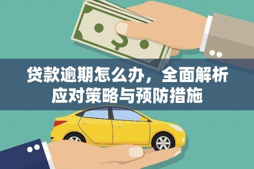 巴塘贷款逾期怎么办，全面解析应对策略与预防措施