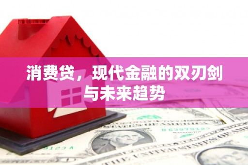 巴塘消费贷，现代金融的双刃剑与未来趋势