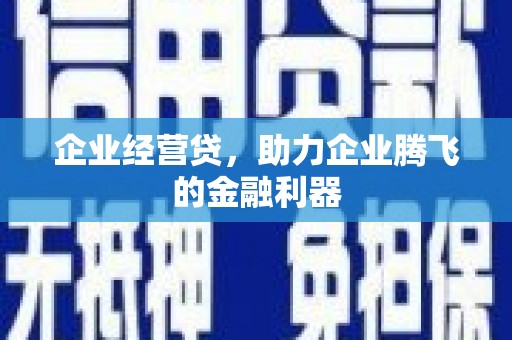 巴塘企业经营贷，助力企业腾飞的金融利器