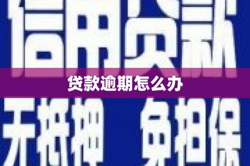巴塘贷款逾期怎么办