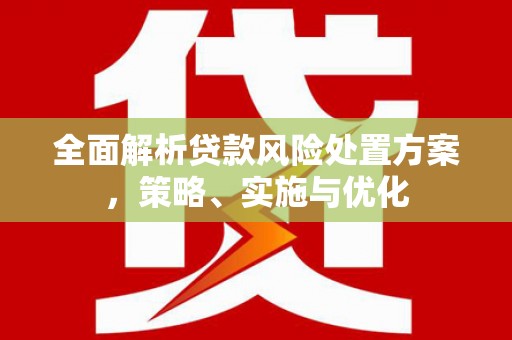 巴塘全面解析贷款风险处置方案，策略、实施与优化