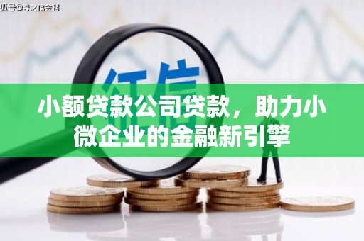 巴塘小额贷款公司贷款，助力小微企业的金融新引擎