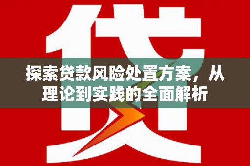 巴塘探索贷款风险处置方案，从理论到实践的全面解析