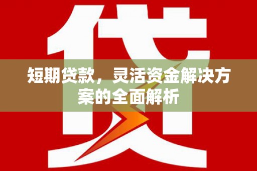 巴塘短期贷款，灵活资金解决方案的全面解析