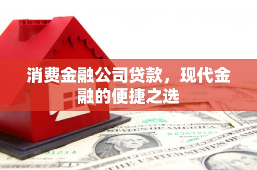 巴塘消费金融公司贷款，现代金融的便捷之选