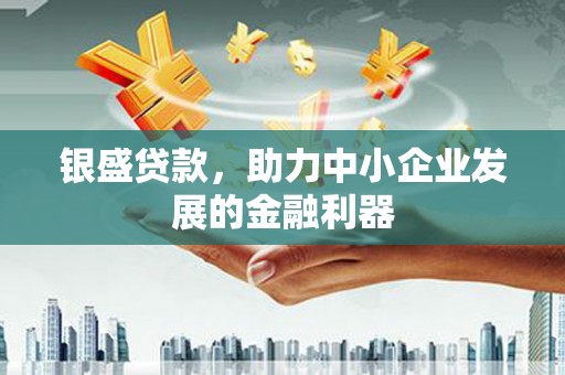 巴塘银盛贷款，助力中小企业发展的金融利器