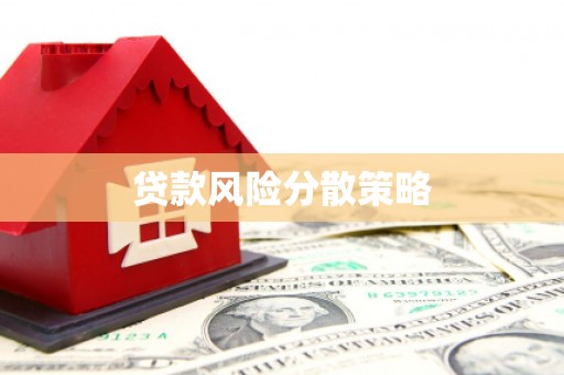 巴塘贷款风险分散策略