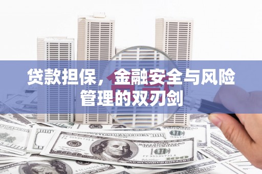 巴塘贷款担保，金融安全与风险管理的双刃剑