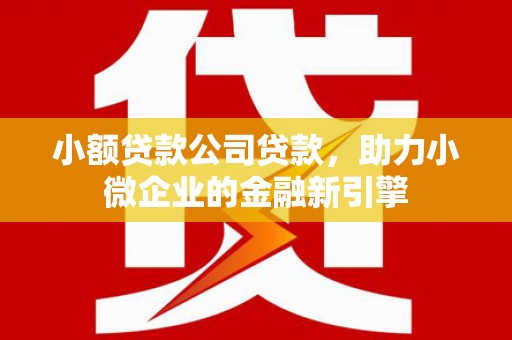 巴塘小额贷款公司贷款，助力小微企业的金融新引擎