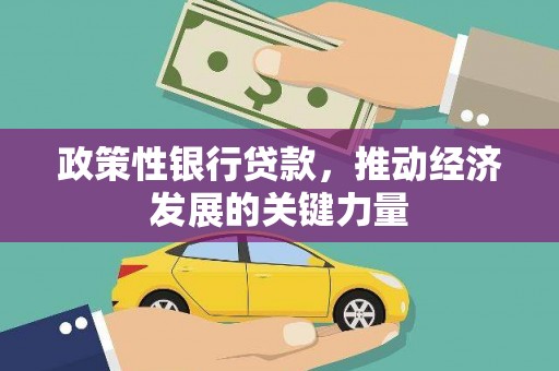 巴塘政策性银行贷款，推动经济发展的关键力量