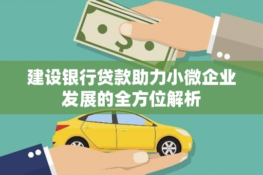 巴塘建设银行贷款助力小微企业发展的全方位解析