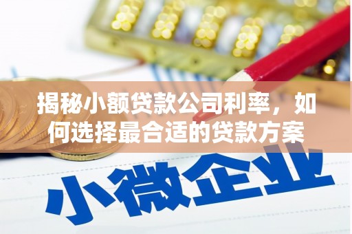 巴塘揭秘小额贷款公司利率，如何选择最合适的贷款方案