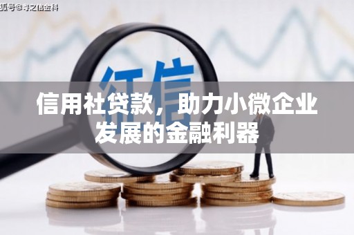 巴塘信用社贷款，助力小微企业发展的金融利器