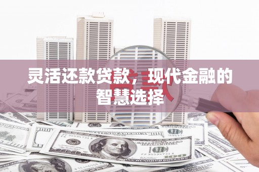 巴塘灵活还款贷款，现代金融的智慧选择
