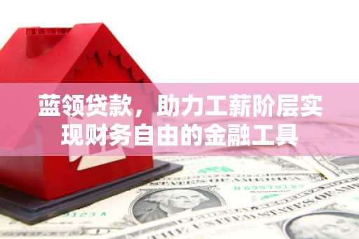 巴塘蓝领贷款，助力工薪阶层实现财务自由的金融工具