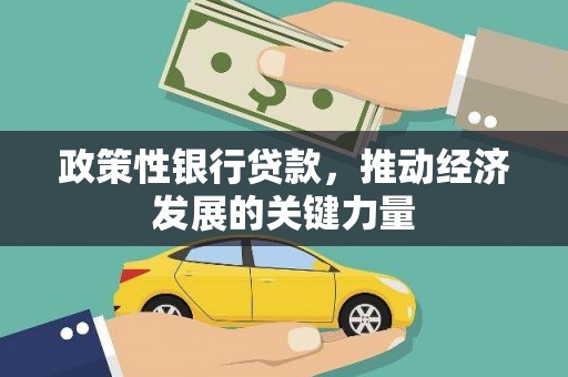 巴塘政策性银行贷款，推动经济发展的关键力量