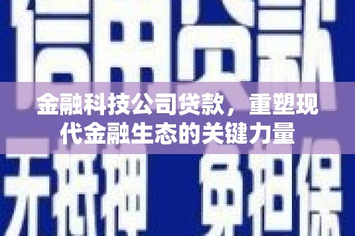 巴塘金融科技公司贷款，重塑现代金融生态的关键力量