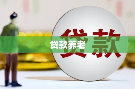 巴塘贷款养老
