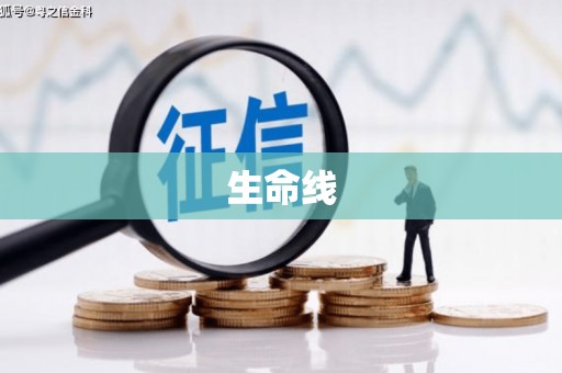 巴塘生命线