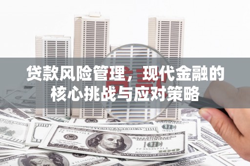 巴塘贷款风险管理，现代金融的核心挑战与应对策略