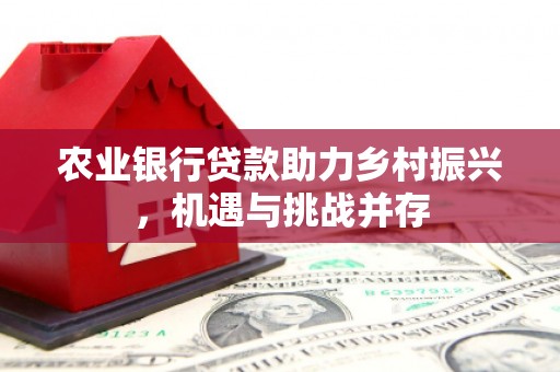 巴塘农业银行贷款助力乡村振兴，机遇与挑战并存