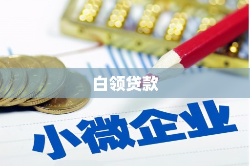 巴塘白领贷款