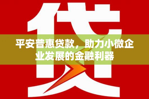 巴塘平安普惠贷款，助力小微企业发展的金融利器